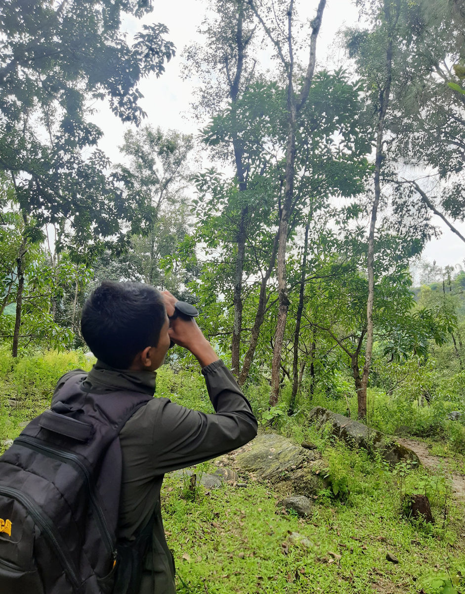 Volunteer watching vultures through binoculars