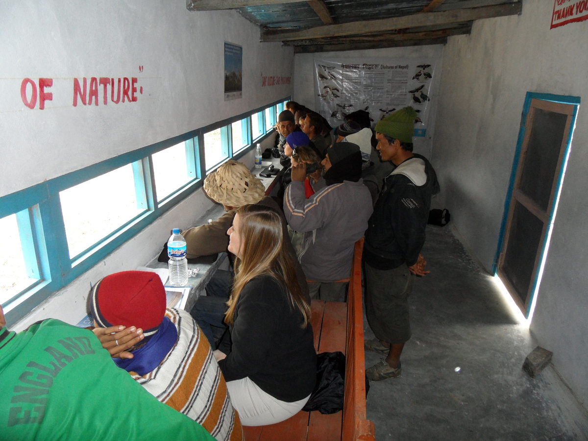 Visitors watching from the vulture hide